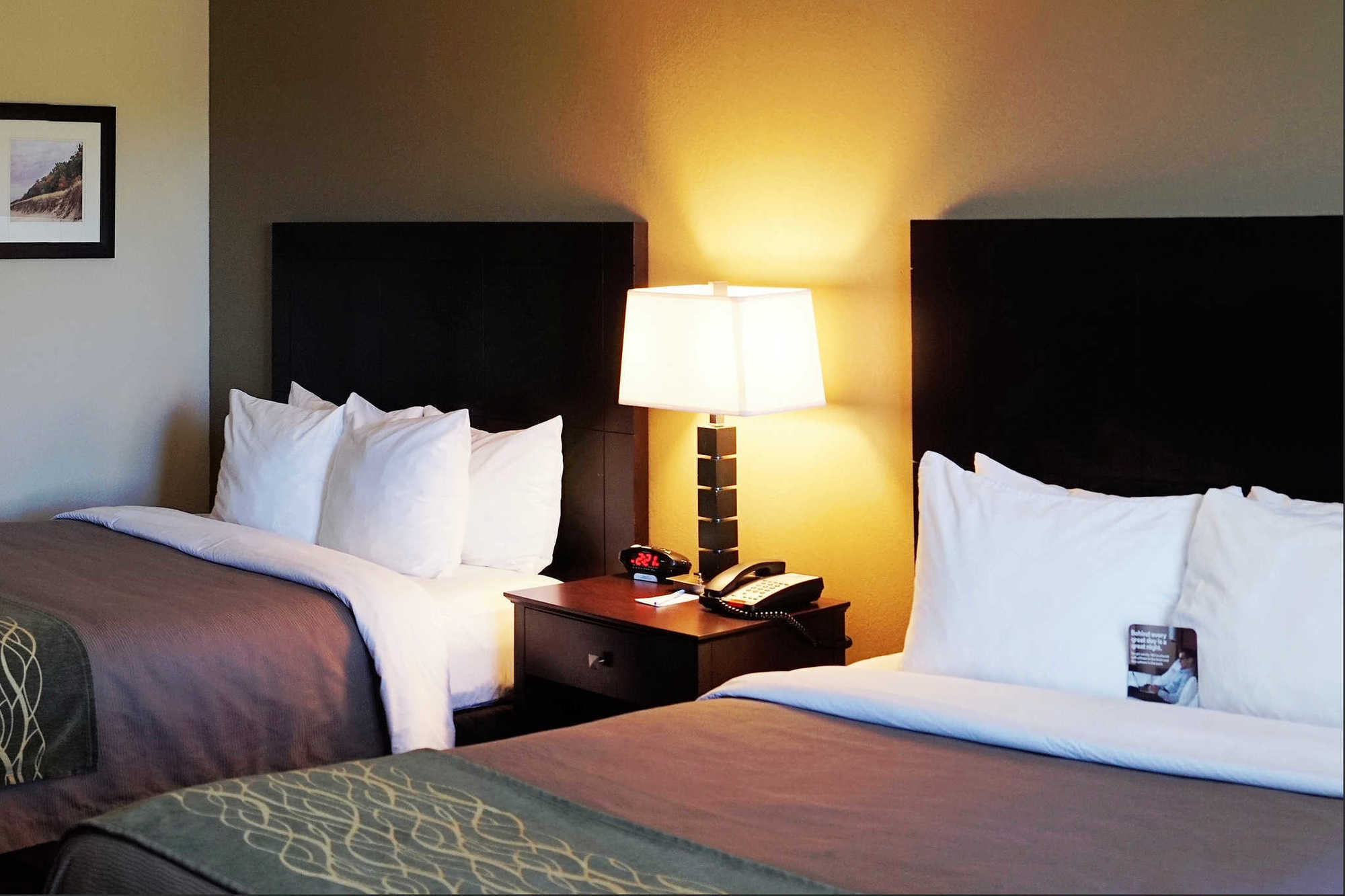 Comfort Inn & Suites Porter Near Indiana Dunes Room photo
